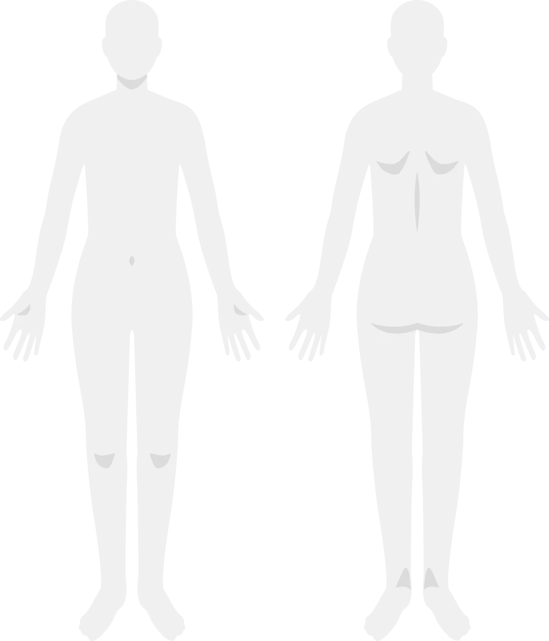 main-body-model